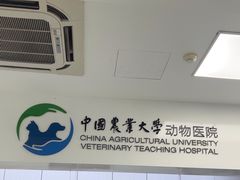 -中国农业大学动物医院