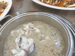 -港升鱼师傅·中山脆肉鲩