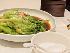 蚝油罗马生菜-大铁勺新津菜(熙悦汇店)