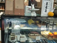 -北马山庄植趣咖啡