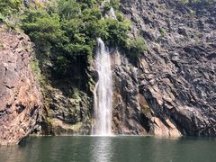 -上海辰山植物园
