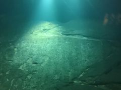 -白鹤梁水下博物馆