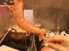 -鲜入围煮花胶鸡海鲜火锅