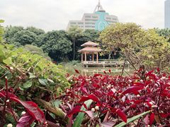 -黄埔荔枝公园