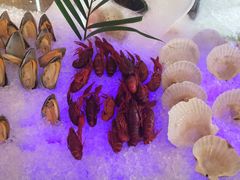 -视界美食自助餐厅·石家庄希尔顿酒店