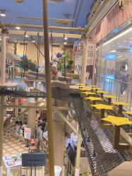 -卡通尼·Safari非洲探索乐园·生日会(金桥国际商业广场店)