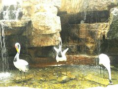 -优品汇生活广场