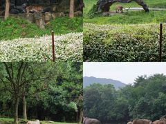-杭州野生动物世界