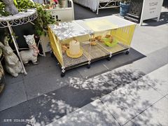 -京北渔家傲