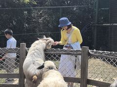 -乌石村