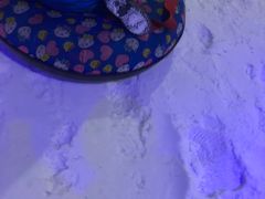 -宁波冰雪大世界(北仑区)