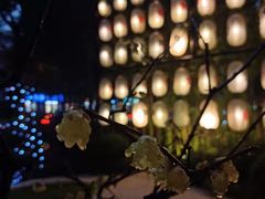 -本逸·割烹料理(湖墅店)