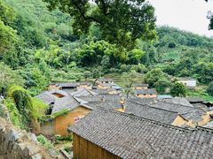 -杨家堂村