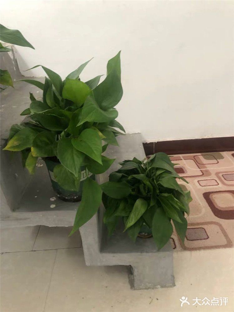 光触媒治甲醛技术的优点