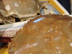 -一绪に寿喜烧自助(世茂广场店)
