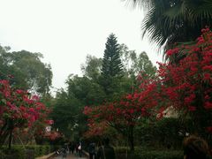 android_upload_pic-铁路文化公园