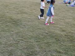 -沙河三洞古桥公园