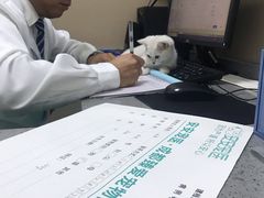 -安安宠医·臻爱宠物医院·宠保定点(营门口路分院)