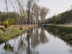 -东郊湿地公园