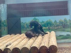 -昆明动物园