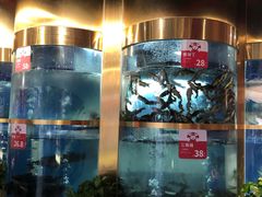 水产区-蜀滋香鲜鱼美蛙火锅(339店)