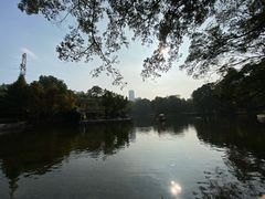-晓港公园