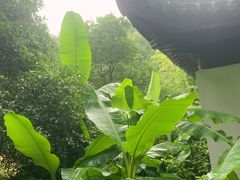 -善卷洞风景区