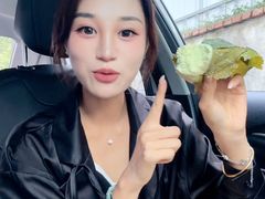 -叶婆婆豆浆馍馍
