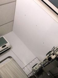 -大连市妇女儿童医疗中心集团(春柳妇产院区)