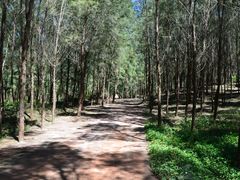 景点-西涌国际滨海旅游区