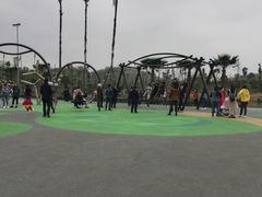 -枫香湖儿童公园