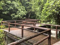 -赤水丹霞旅游区·佛光岩