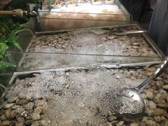 -大山炭火烤肉自助(百盛步行街广场店)