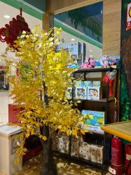 -KidSteam儿童乐园(富力城店)