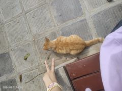 -终南山南五台景区