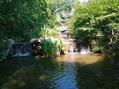 -习家池