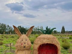 -中国天府农业博览园