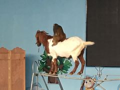 -武汉紫薇都市田园