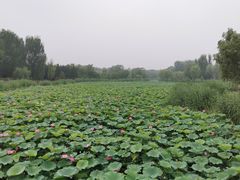 -马泷齿科·皓康门诊(尚都SOHO店)