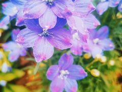 -花溪公园