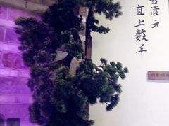 -韵秋荷(宝山龙湖天街店)