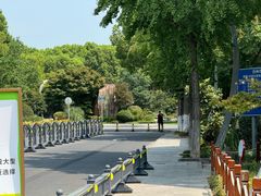 -昆山城市生态森林公园