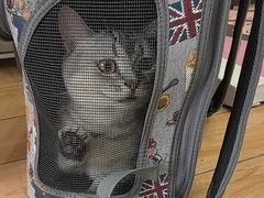 -瑞派·关忠动物医院猫科外科·异宠·24小时转诊中心(祥云店)