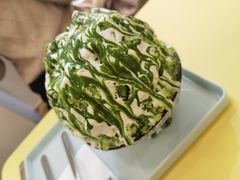 -王守财小山園