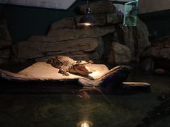 -重庆欢乐海底世界