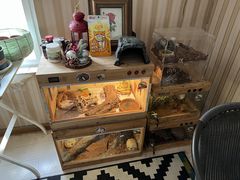 零售区-Rabbit Cafe私房西餐甜点咖啡(栖霞路店)