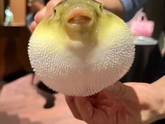 -肆月河豚·淮扬菜·湘菜(华天店)