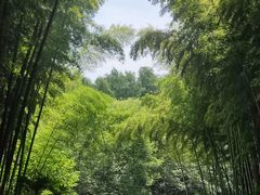 -同里国家湿地公园