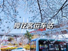 -南浦大桥长途旅游客运站