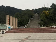 -铁山坪森林公园